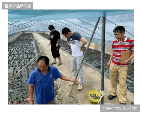 体育赛事运营告别野蛮增长，精细化管理模式清退了缺乏资质的执行方